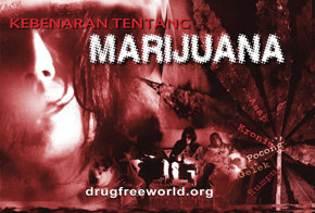 Kebenaran Tentang Mariyuana